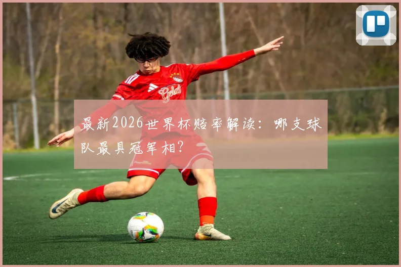 最新2026世界杯赔率解读：哪支球队最具冠军相？